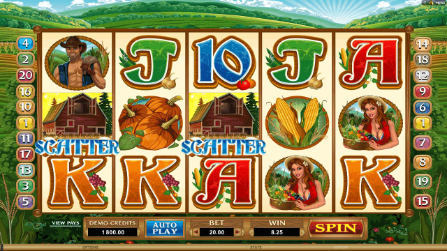 Бонусная игра Sweet Harvest 10